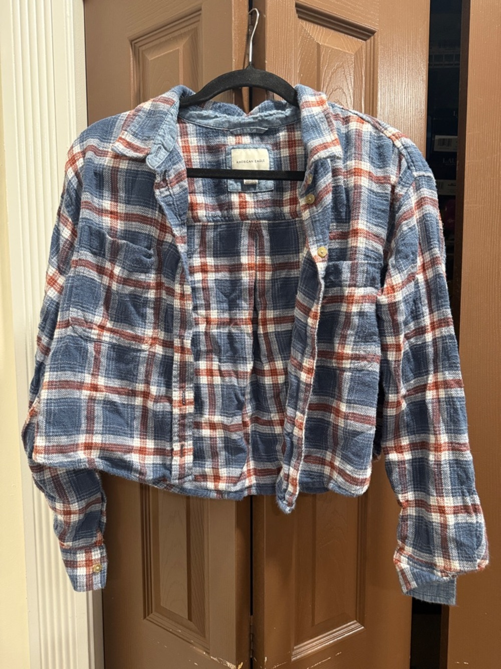 American Eagle Outfitters Blue and Red Plaid Long Sleeve Button-Up